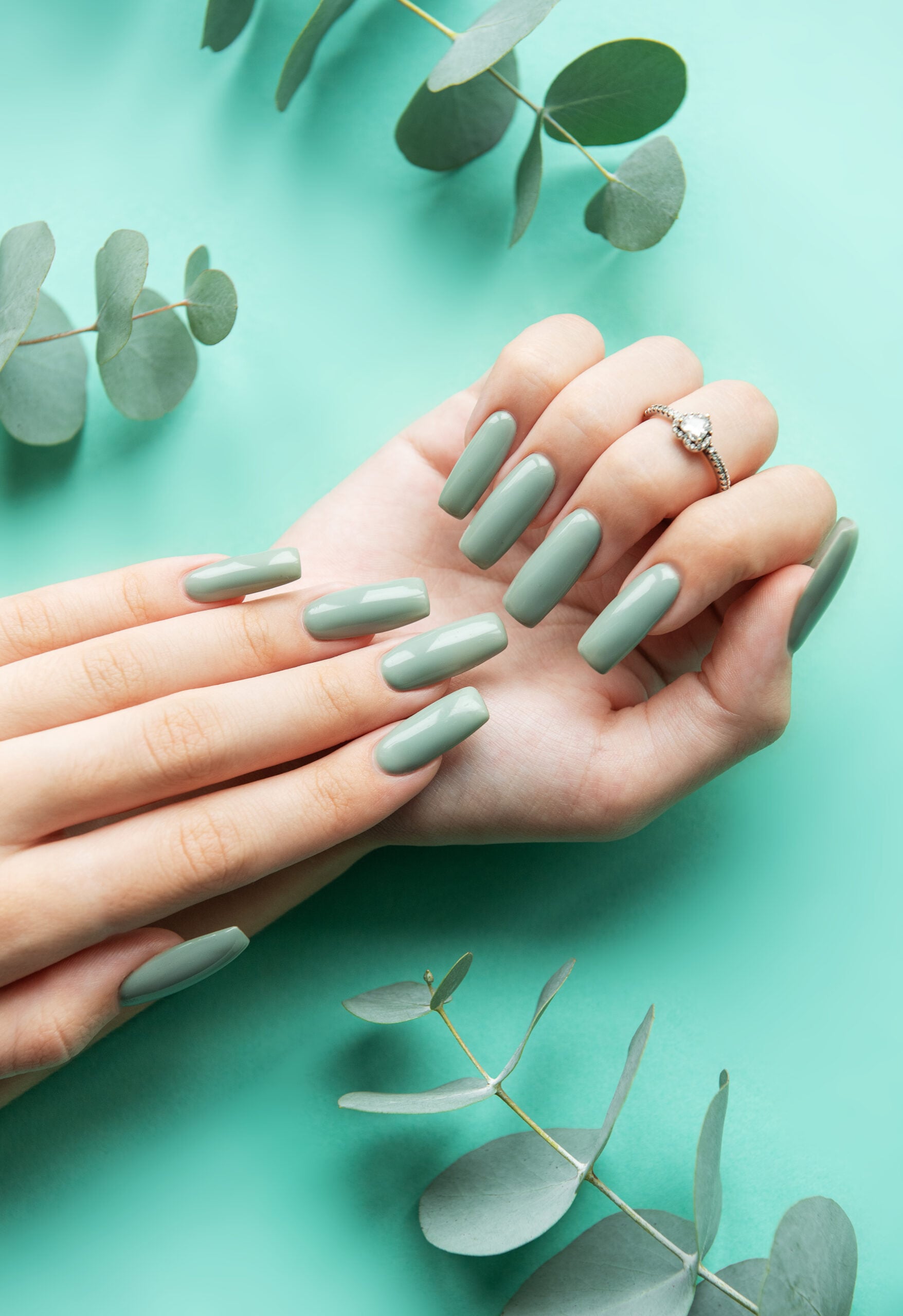 Brightly polished long green nails are elegantly arranged on a mint backdrop, accentuated by scattered eucalyptus leaves for a fresh, natural look.
